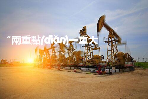“兩重點(diǎn)一重大?；贰钡降字傅纳叮靠靵?lái)了解